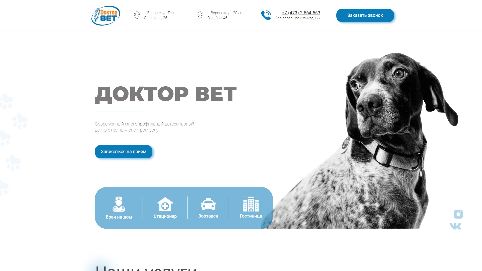 ВетДоктор - клиника